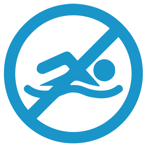 Betta SE Smart Pool Skimmer Manual